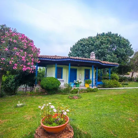 Villa Olive Tree Gokova Daily Weekly *