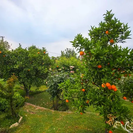 빌라 Olive Tree Gokova Daily Weekly *