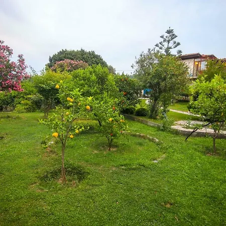 빌라 Olive Tree Gokova Daily Weekly